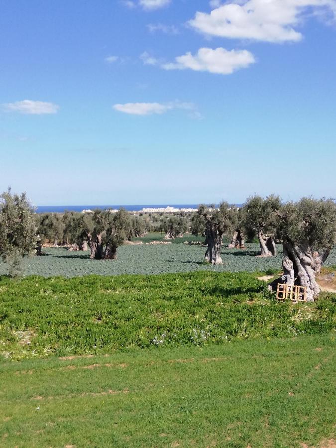 Masseria Ricci Fasano Exterior photo