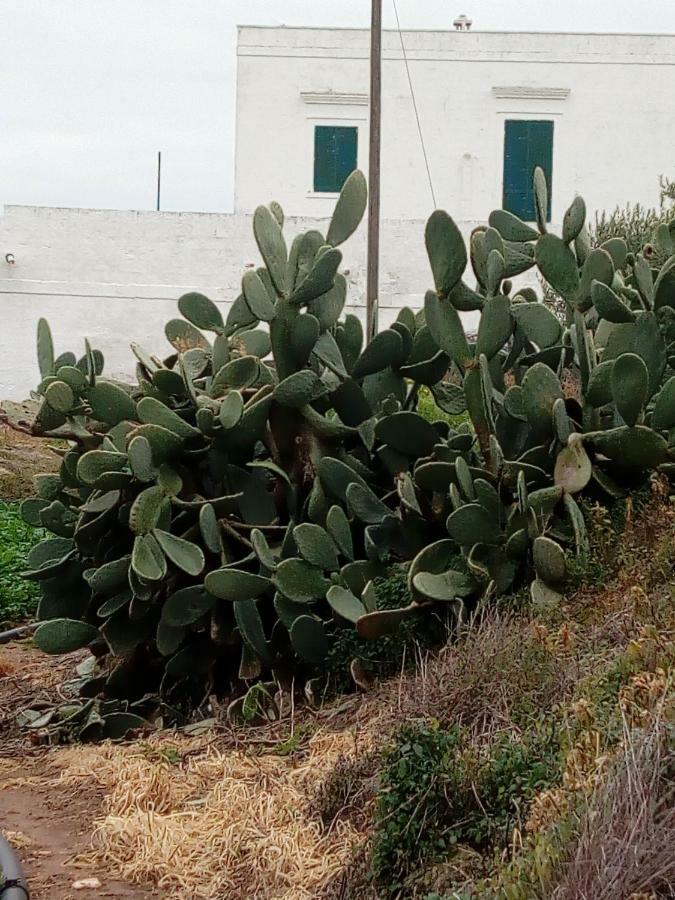 Masseria Ricci Fasano Exterior photo